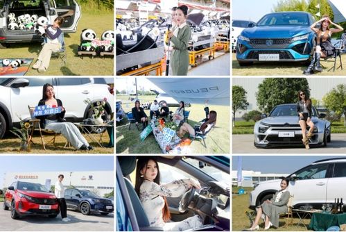 真誠，才是汽車消費的“必殺技”——從神龍汽車雙十一活動談起